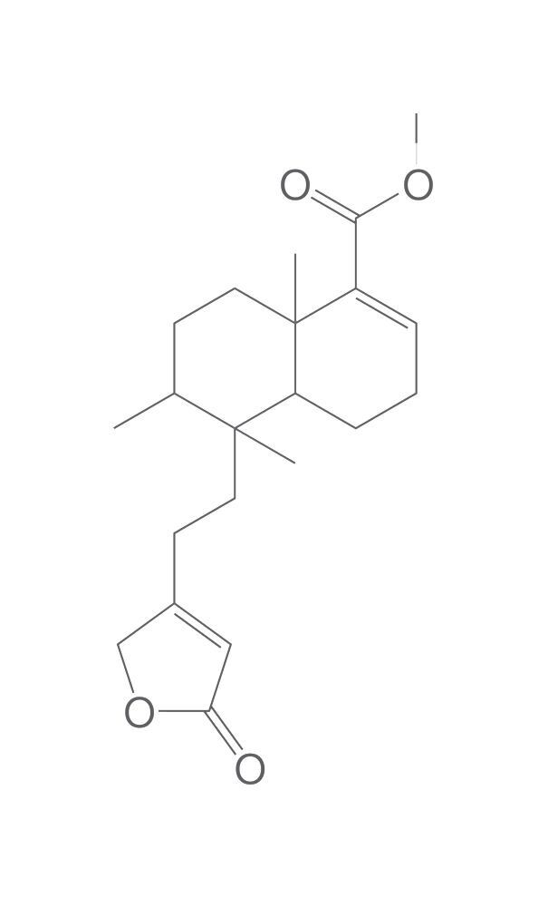 Methyl clerodermate, min. 95 %, 1 mg - Luminix Health