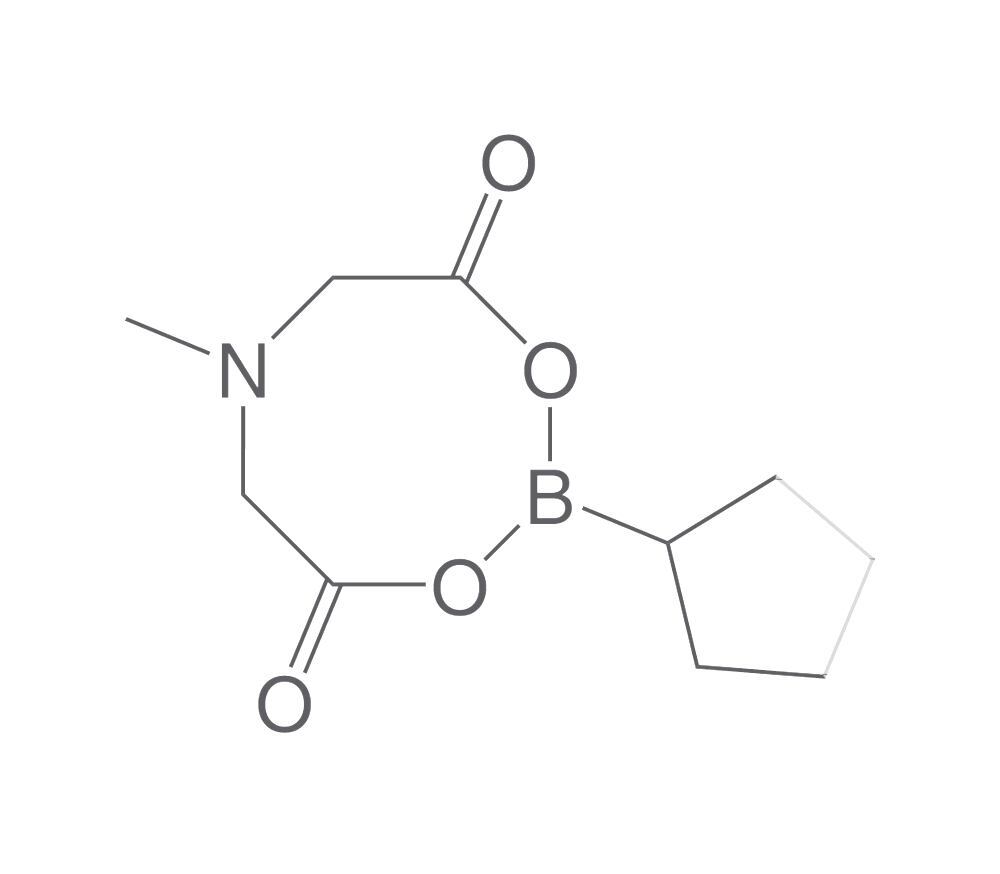 Cyclopentylboronic acid MIDA ester, min. 95 %, 1 g - Luminix Health