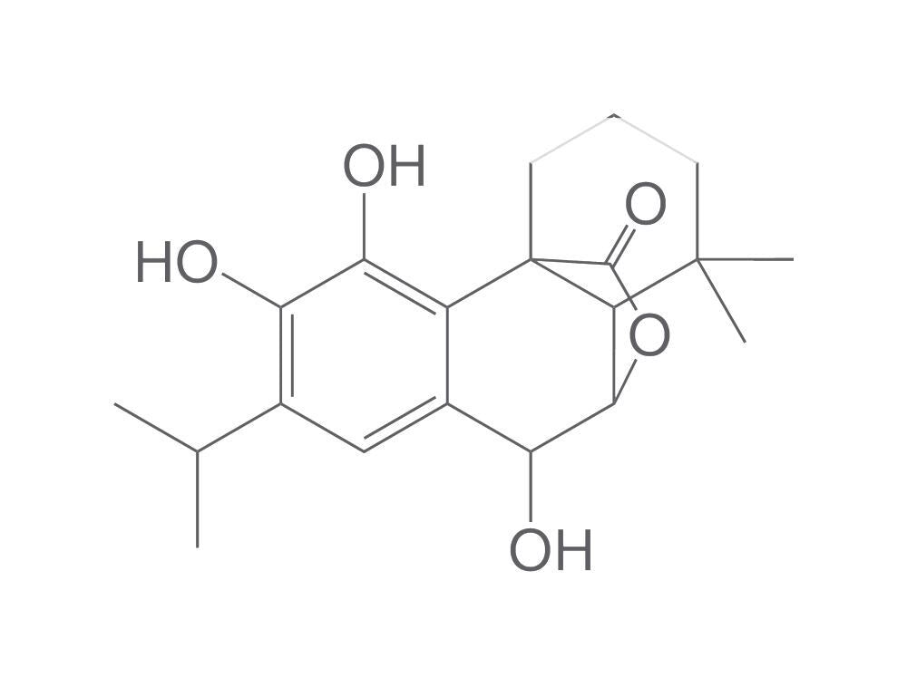 Epirosmanol, min. 95 %, 5 mg - Luminix Health
