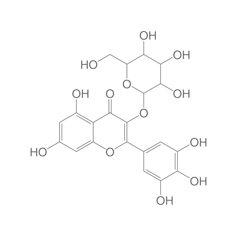 Image of Myricetin 3-β-glucoside, min. 95 %, 1 mg - Luminix Health