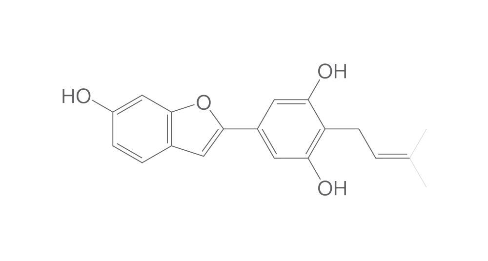 Moracin C, min. 95 %, 1 mg - Luminix Health