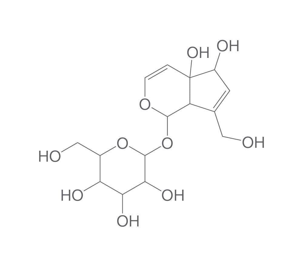 Monomelittoside, min. 95 %, 1 mg - Luminix Health