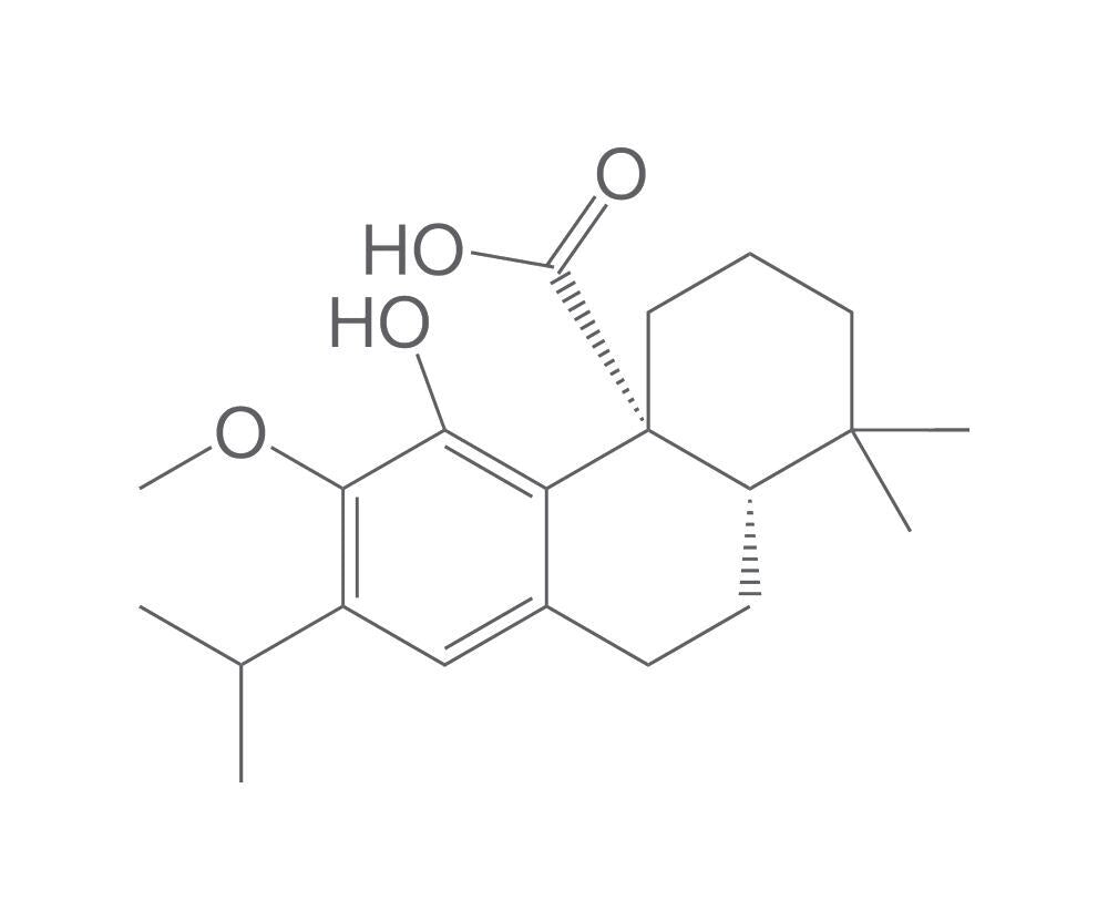 12-O-Methylcarnosic acid, min. 95 %, 1 mg - Luminix Health