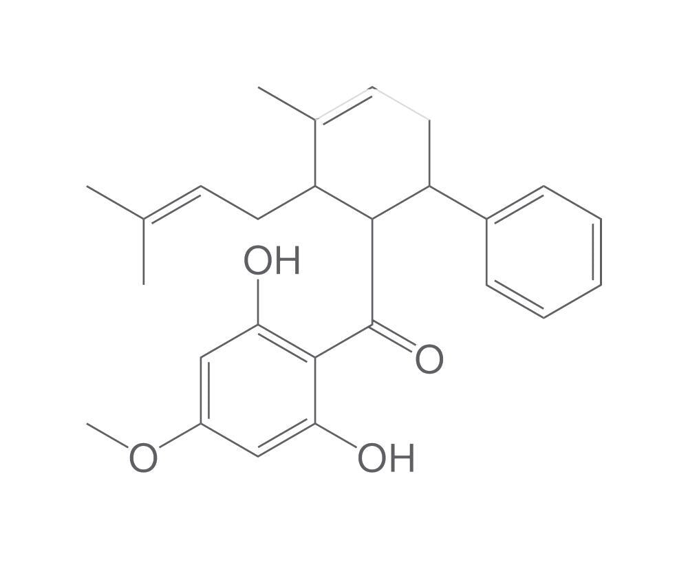 Panduratin A, 1 mg - Luminix Health
