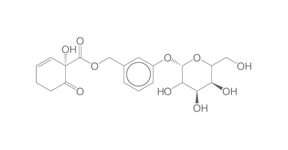 Salicortin, 2 mg - Luminix Health