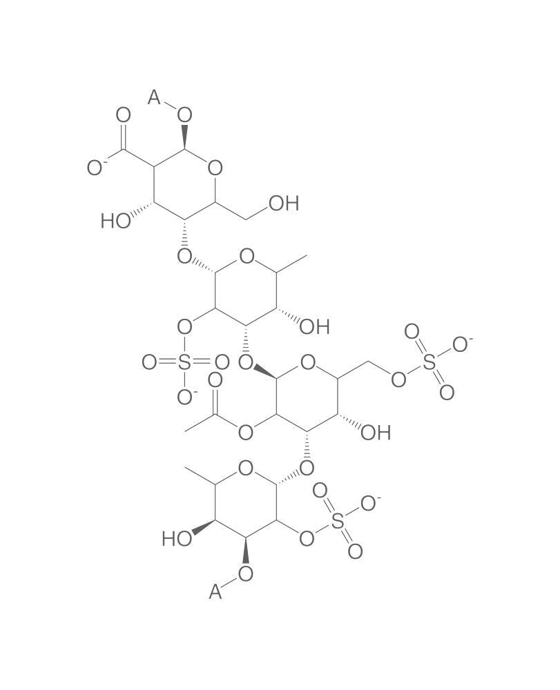 Fucogalactan, min. 75 %, 5 g - Luminix Health