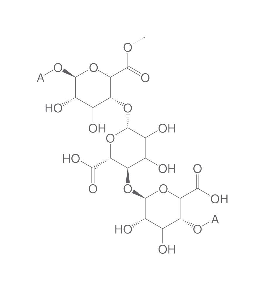 Pectic acid, 25 g - Luminix Health