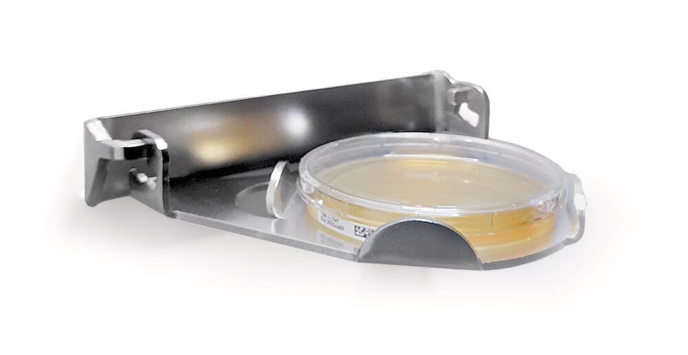 Sedimentation Plate Holder, Fixed Mount, for 90 mm settle plates, 1 unit(s) - Luminix Health