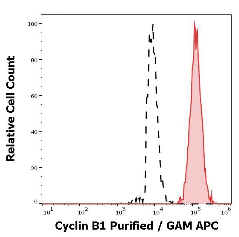 Anti-Cyclin B1 Antibody [V152], 100 µg - Luminix Health