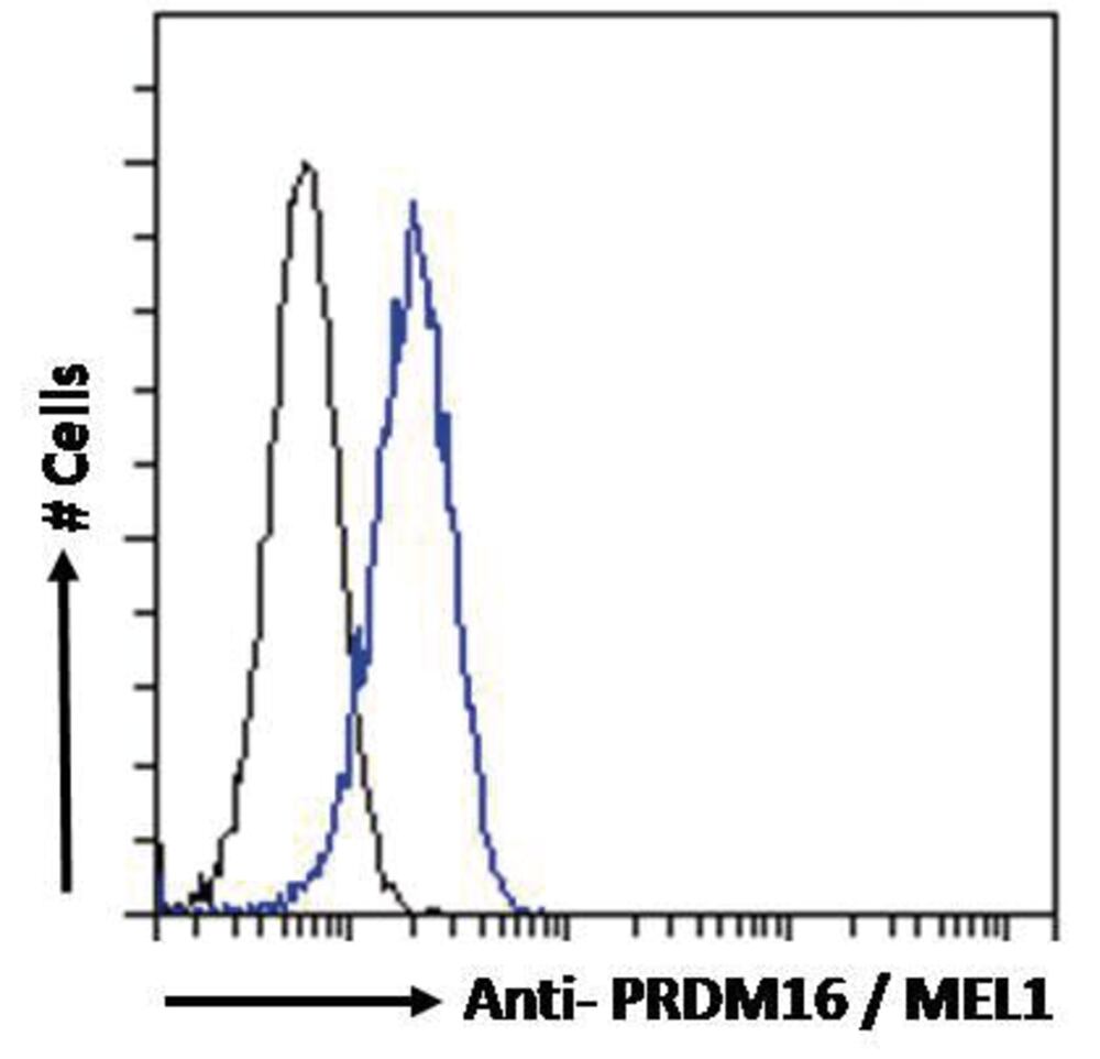 Anti-PRDM16 Antibody, 100 µg - Luminix Health