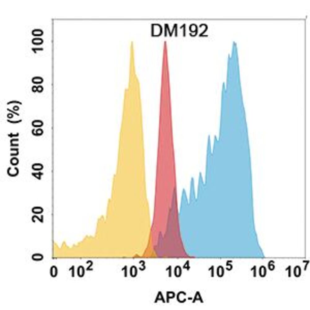 Anti-ADAM9 Antibody [DM192], 100 µg - Luminix Health
