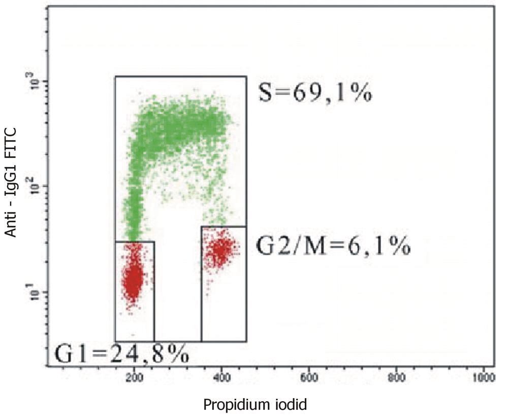 Anti-BrdU Antibody [MoBu-1], 100 µg - Luminix Health