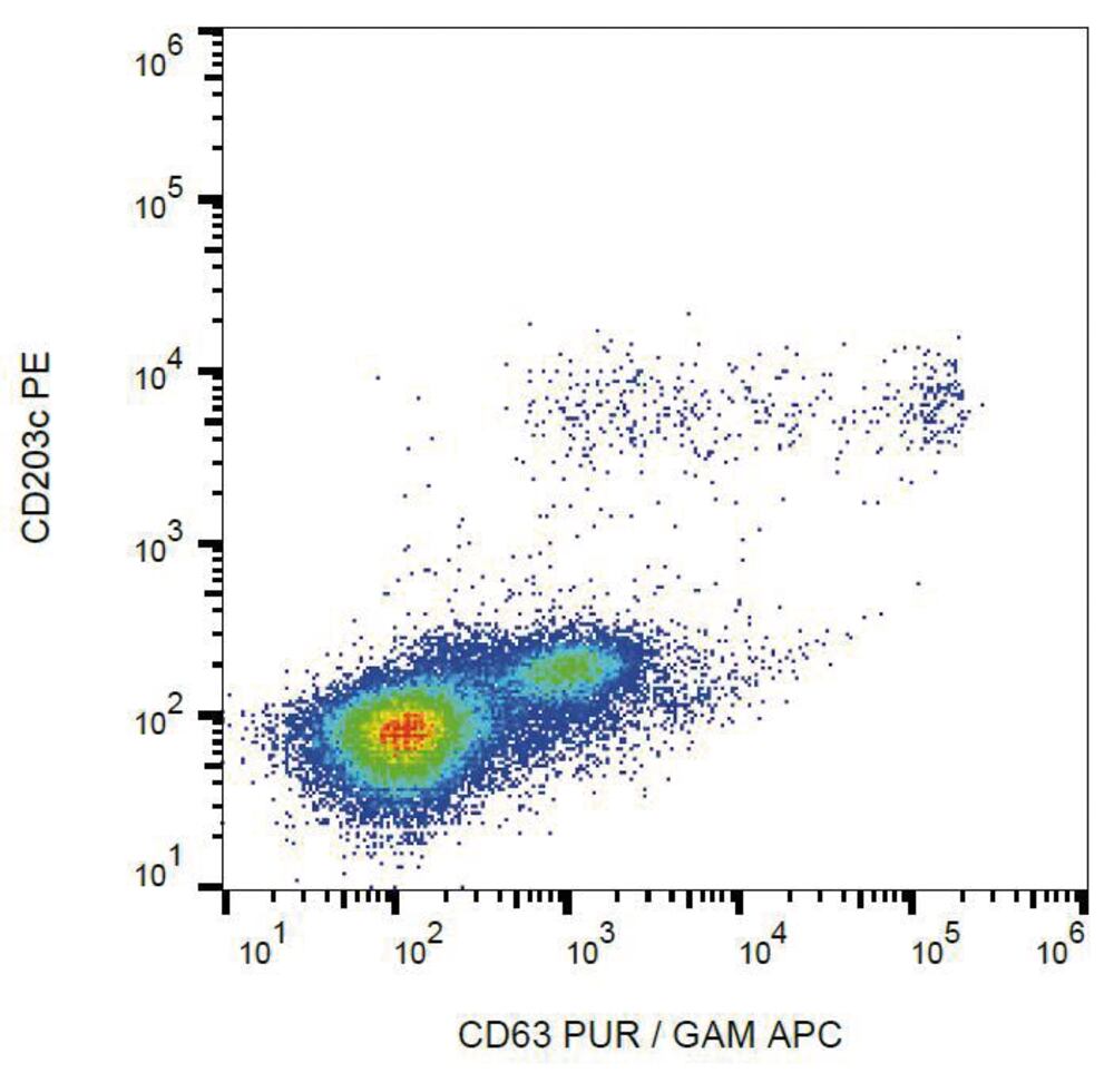 Anti-CD63 Antibody [MEM-259], 100 µg - Luminix Health