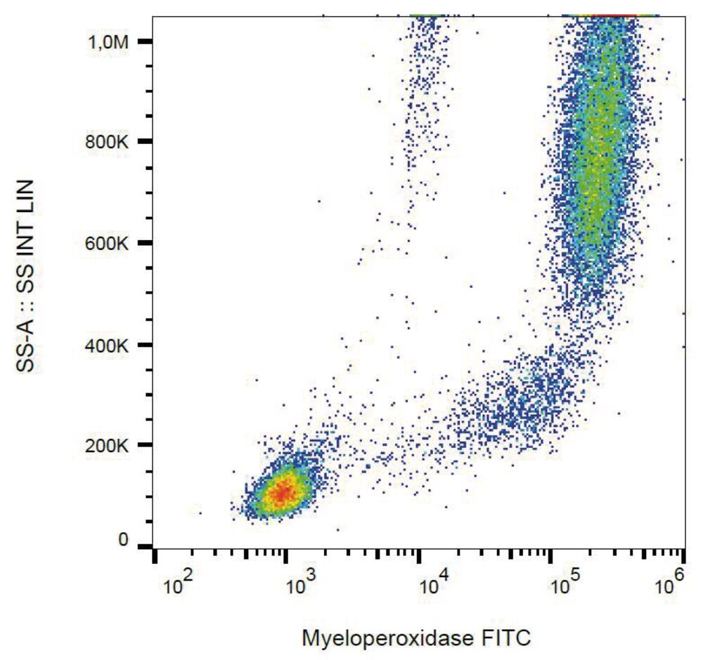 Image of A-Myeloperoxid Antib [MPO421-8B2] (FITC)