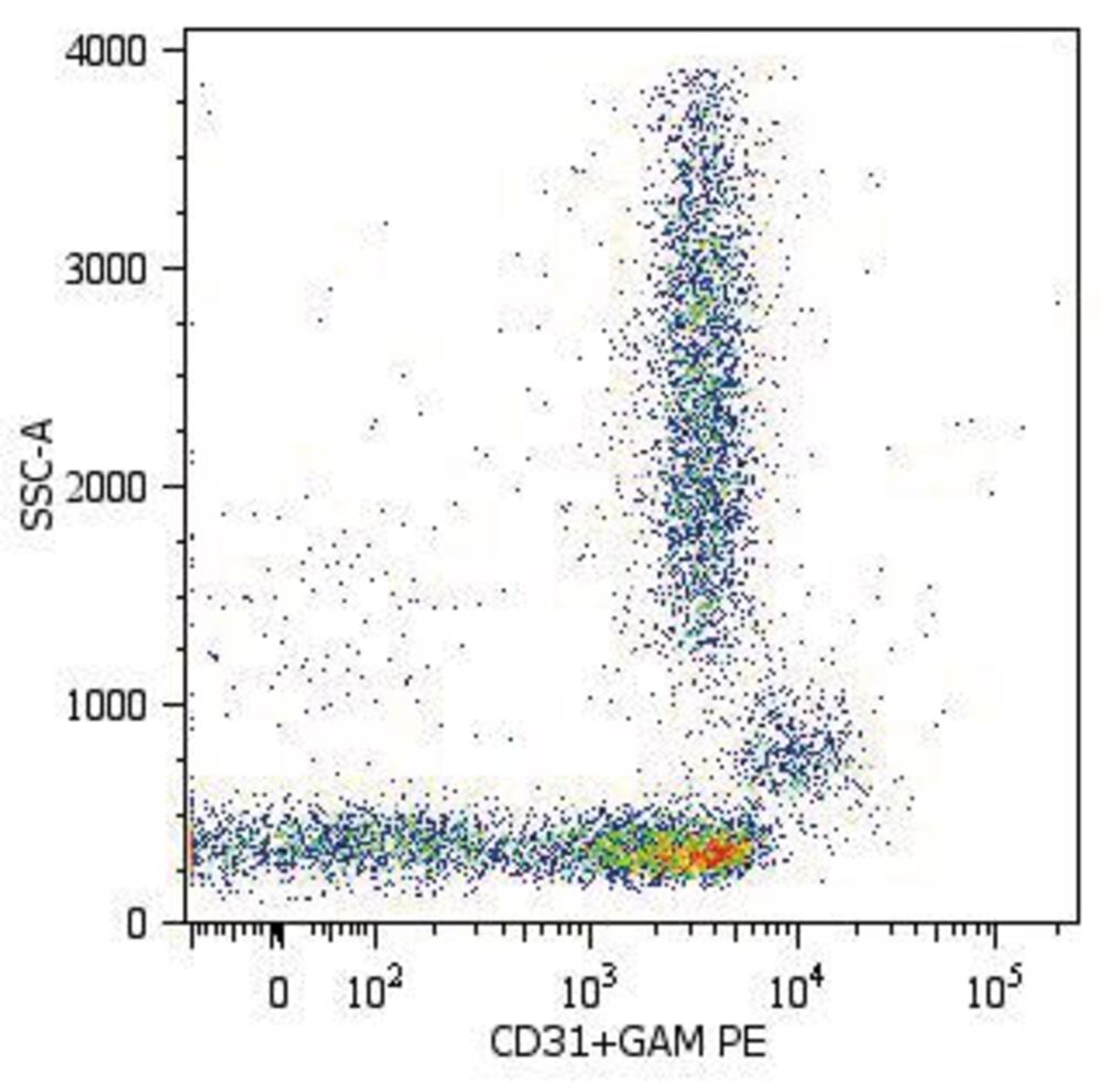 Anti-CD31 Antibody [MEM-05], 100 µg - Luminix Health