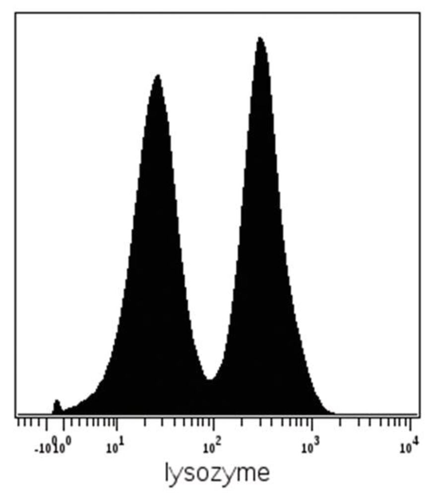 Anti-Lysozyme Antibody [LZ598-10G9], 100 µg - Luminix Health
