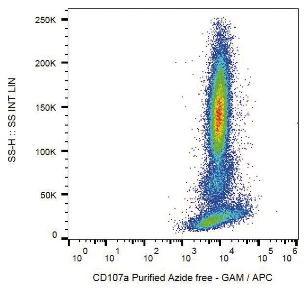 Anti-LAMP1 Antibody [H4A3], 100 µg - Luminix Health
