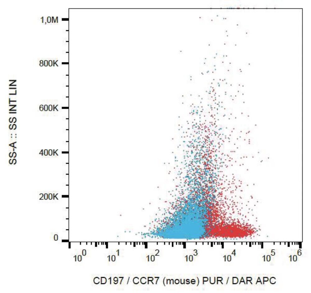 Anti-CCR7 Antibody [4B12], 100 µg - Luminix Health