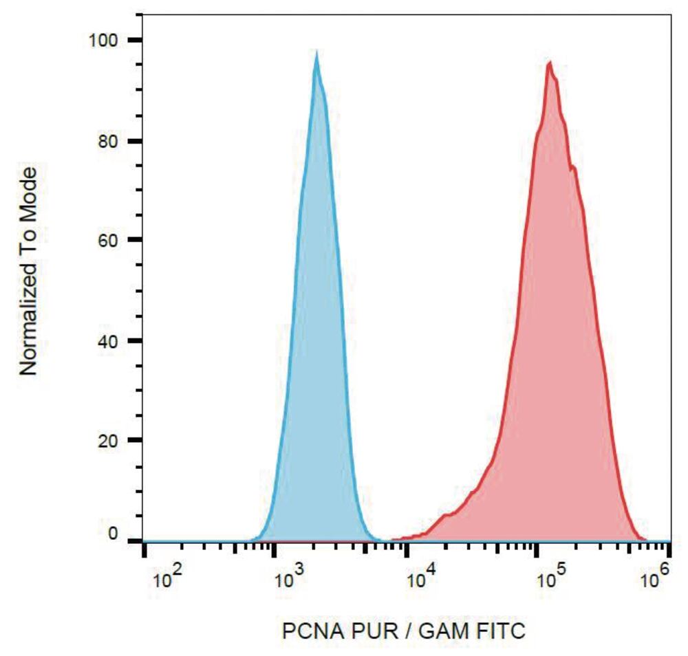 Anti-PCNA Antibody [PC10], 100 µg - Luminix Health