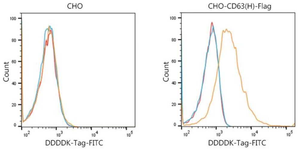 Goat Anti-Mouse IgG H&L Antibody (FITC), 100 µl - Luminix Health