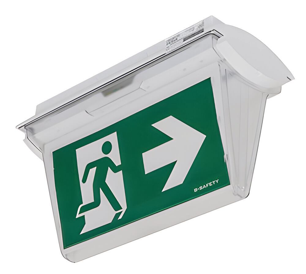 Escape route emergency lighting, FROST-LUX Standard, IP65, ceiling-mount. - Luminix Health