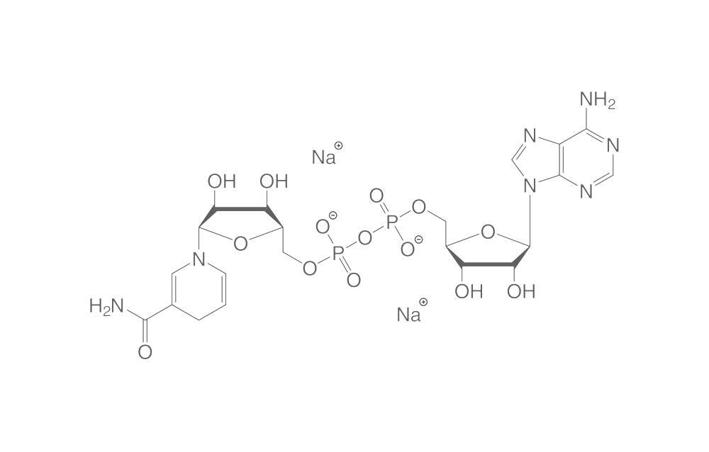 NADH disodium salt, for biochemistry, 1 g, glass - Luminix Health