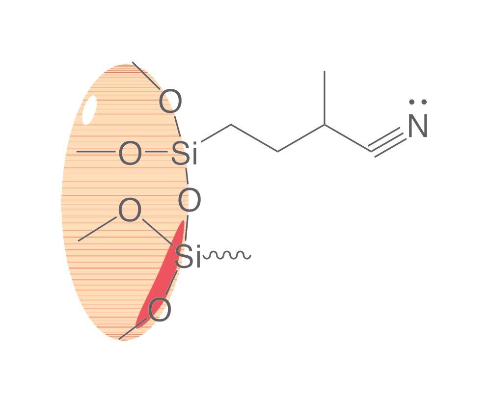 Image of SPE columns ROTI®XBond