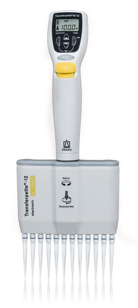 Multi-channel microlitre pipette Transferpette® electronic 12-channel - Luminix Health