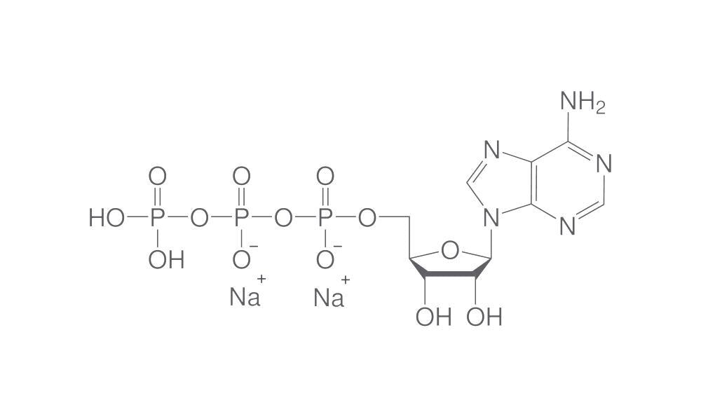 Adenosin-5'-triphosphate disodium salt, (ATP), min. 95 %, for biochemistry, 5 g - Luminix Health