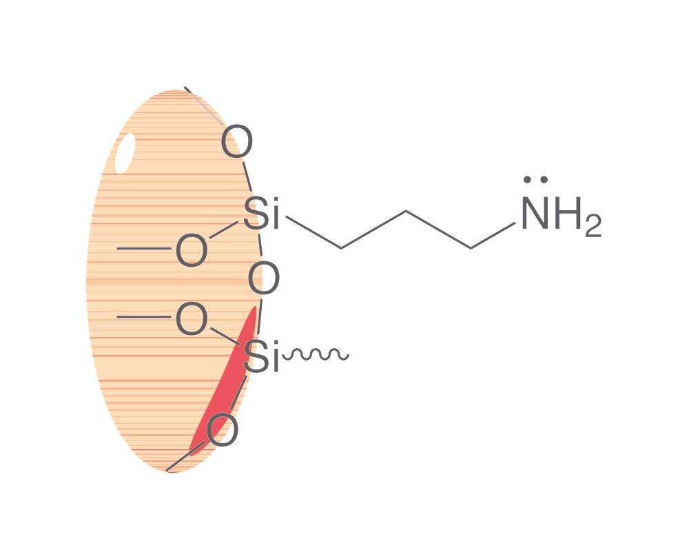 SPE columns ROTI®XBond, NH2, 500mg/6ml - Luminix Health