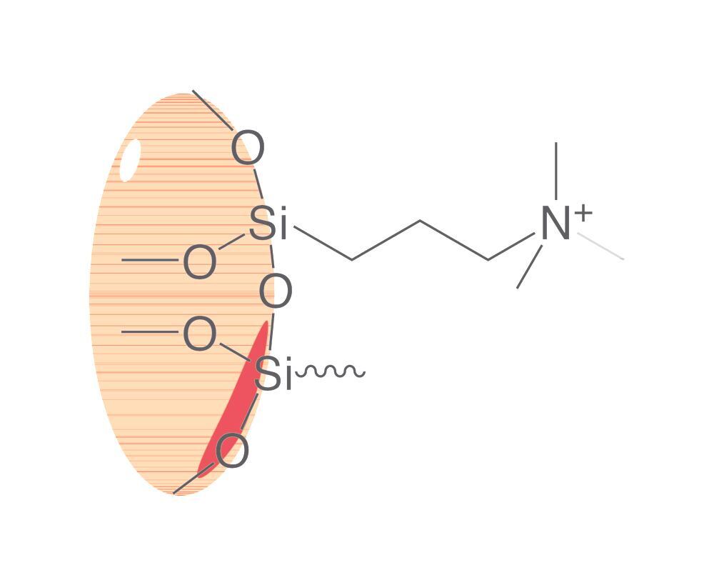Image of SPE columns ROTI®XBond