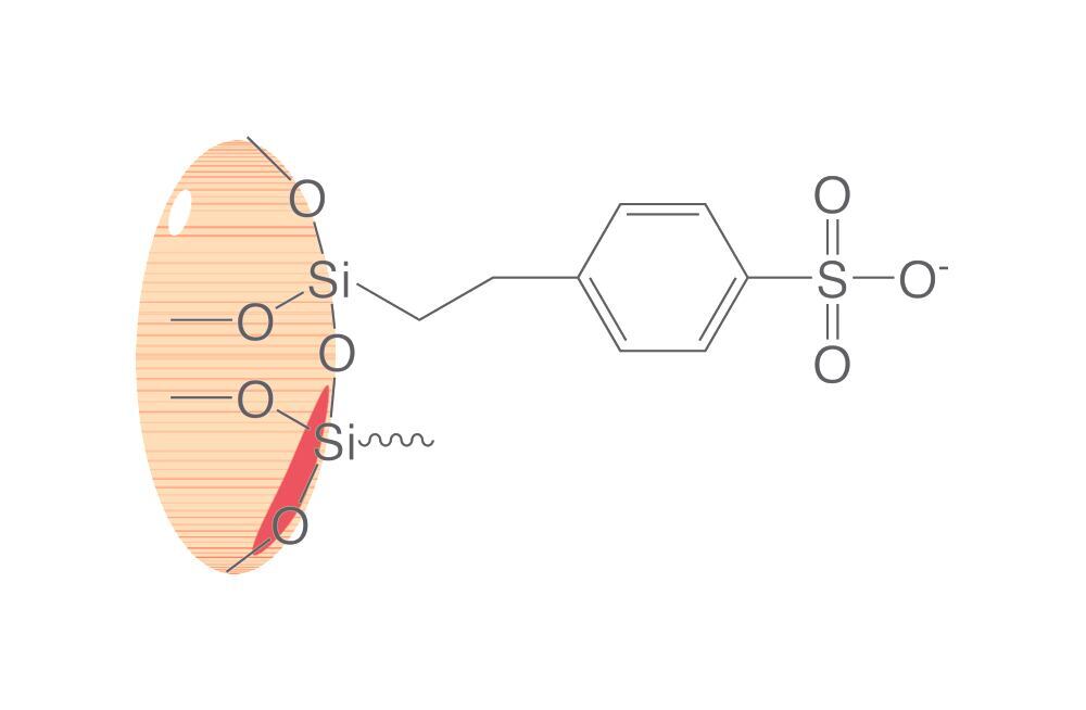 Image of SPE columns ROTI®XBond