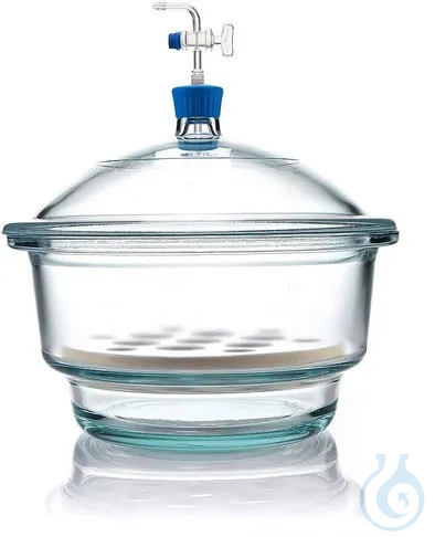 Image of Desiccator with lens barrel/Valve/plate, 300mm - Luminix Health
