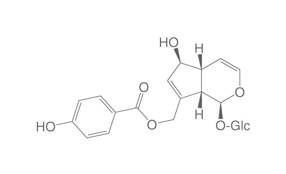 Agnuside, ROTICHROM® HPLC, 10 mg, glass - Luminix Health