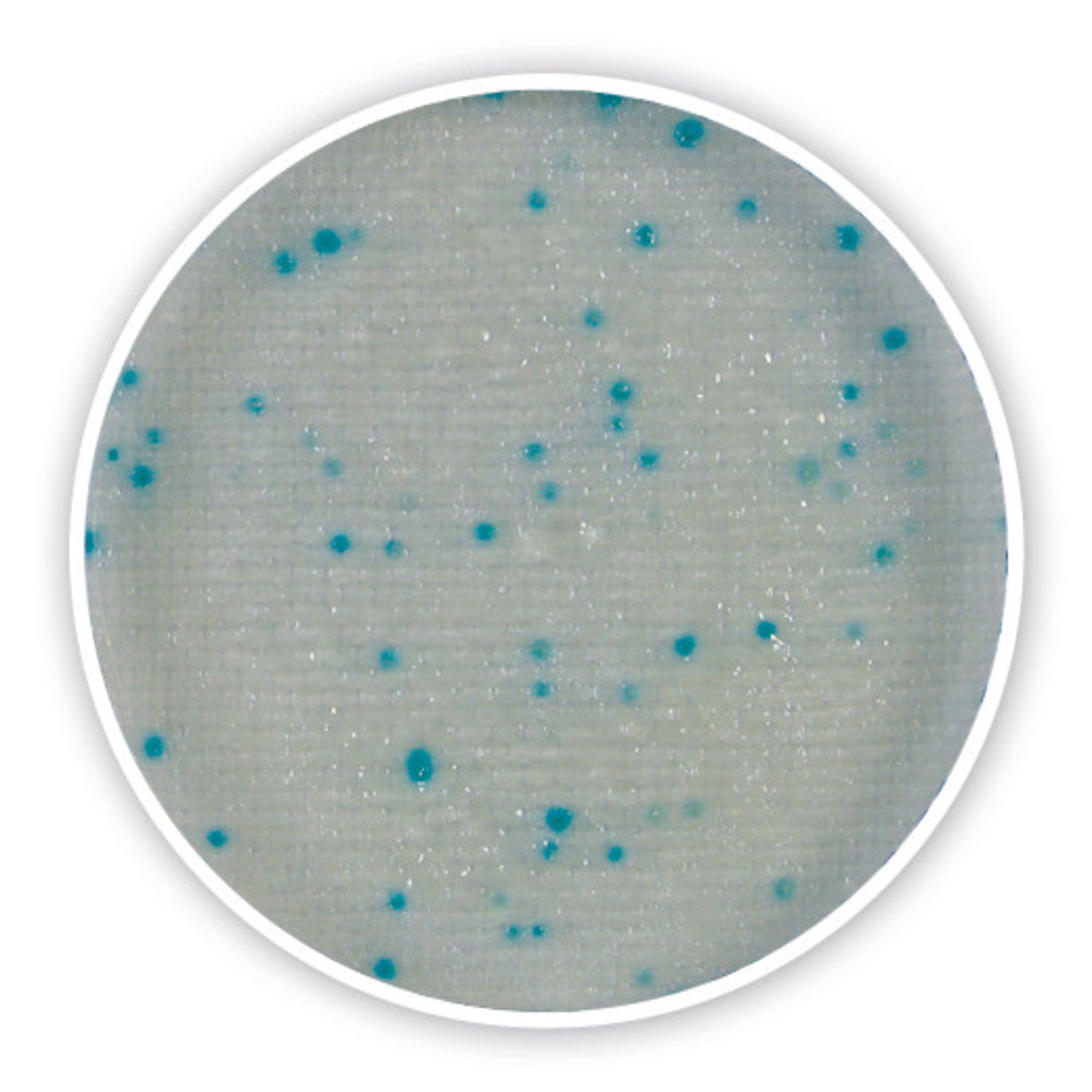Compact Dry X-SA, sterile, for microbiology, 40 unit(s), blister - Luminix Health