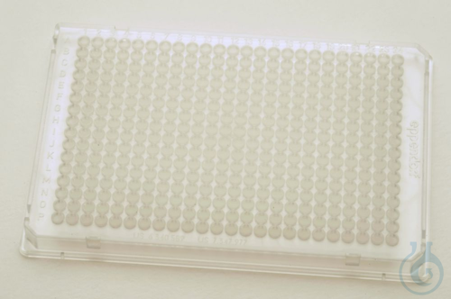 300 PCRPlate384,clear twin.tec - Luminix Health