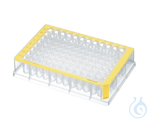 Image of 40 DWPs 96x500µl yellow Protein