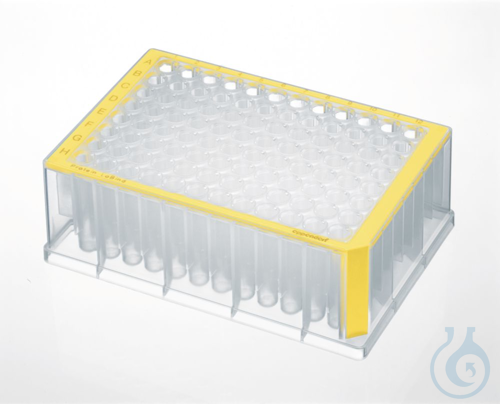 Image of 20 DWPs 96x1000µl yellow Protein