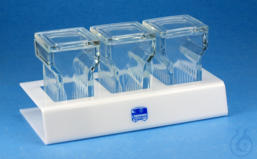 Image of Staining stands of Plexiglas®, with 3 Hellendahl jars - Luminix Health