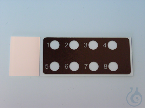 Immunofluorescent printed slides black coating, 8 numbered circles ca. 6 mm Ø - Luminix Health