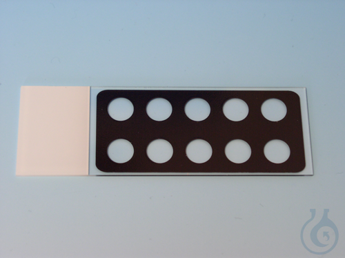 Immunofluorescent printed slides 10 circles ca. 6 mm Ø - Luminix Health