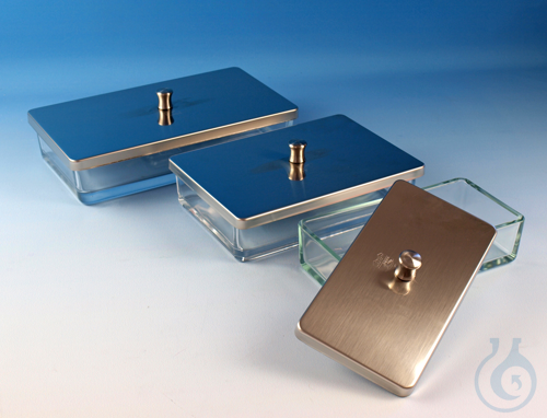 Glass dishes with cover of stainless steel 20 x 10 x 10 cm - Luminix Health