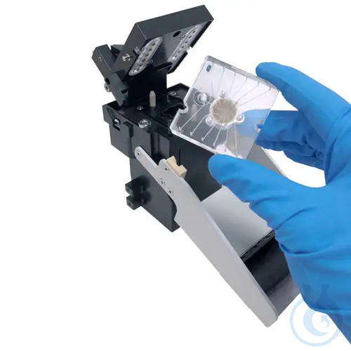 Image of MPV-1 - Luminix Health