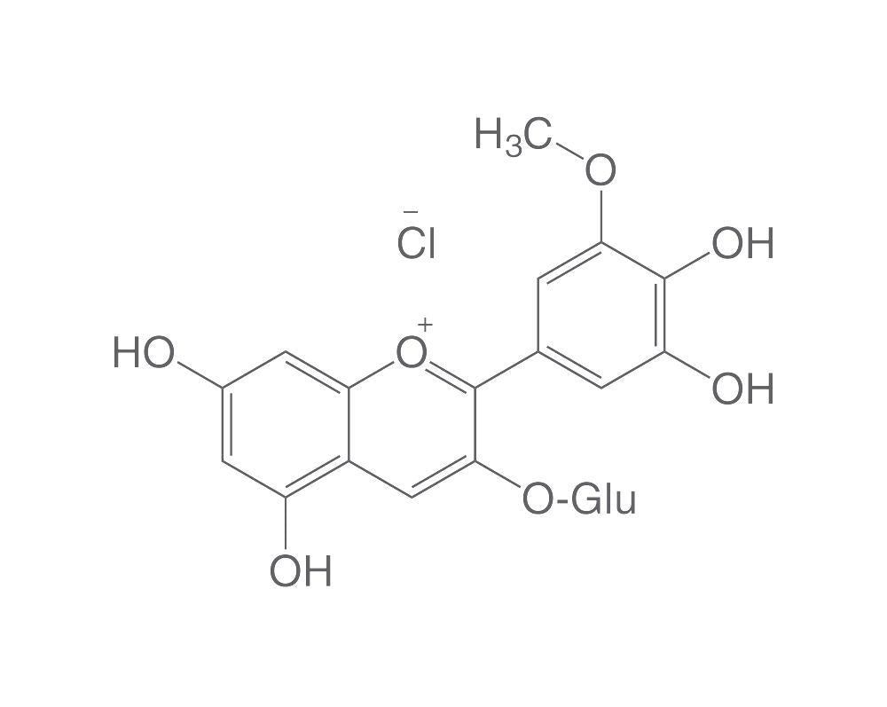 Image of Petunidin-3-glucoside chloride
