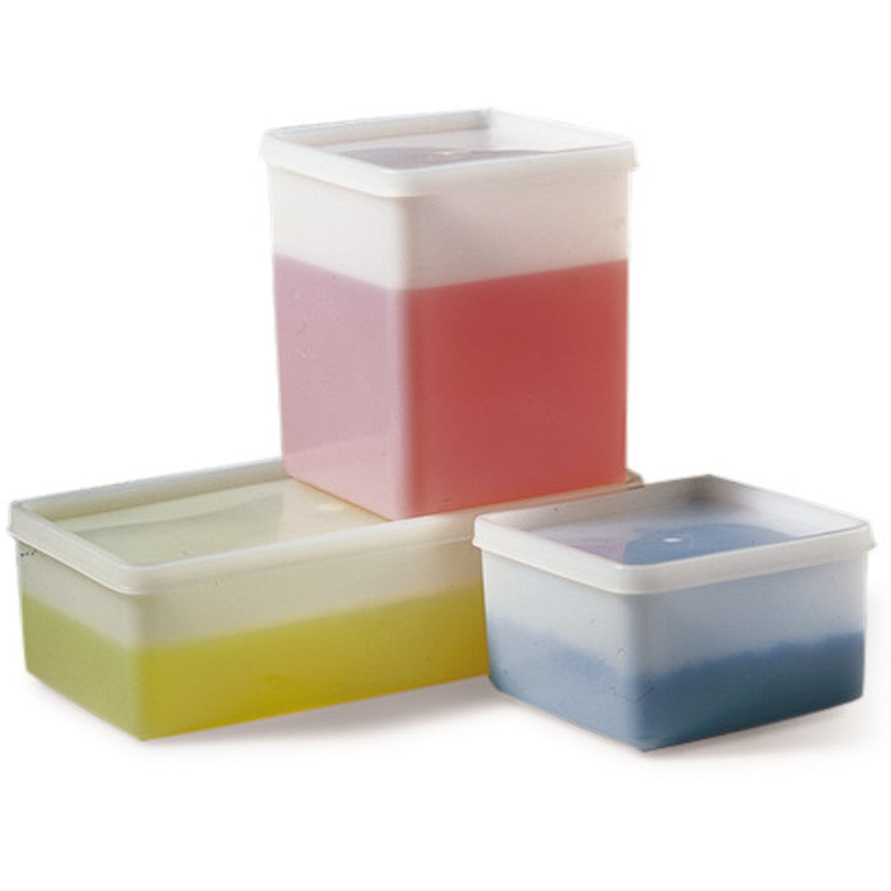 Rotilabo®-deep freeze boxes, PE, L 208 x W 103 x H 64 mm, 1000 ml, 5 unit(s) - Luminix Health