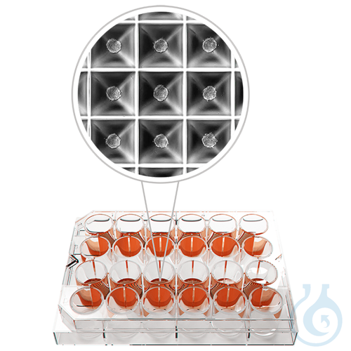 Image of 3D cell culture plate – Sphericalplate 5D 24-WELL
