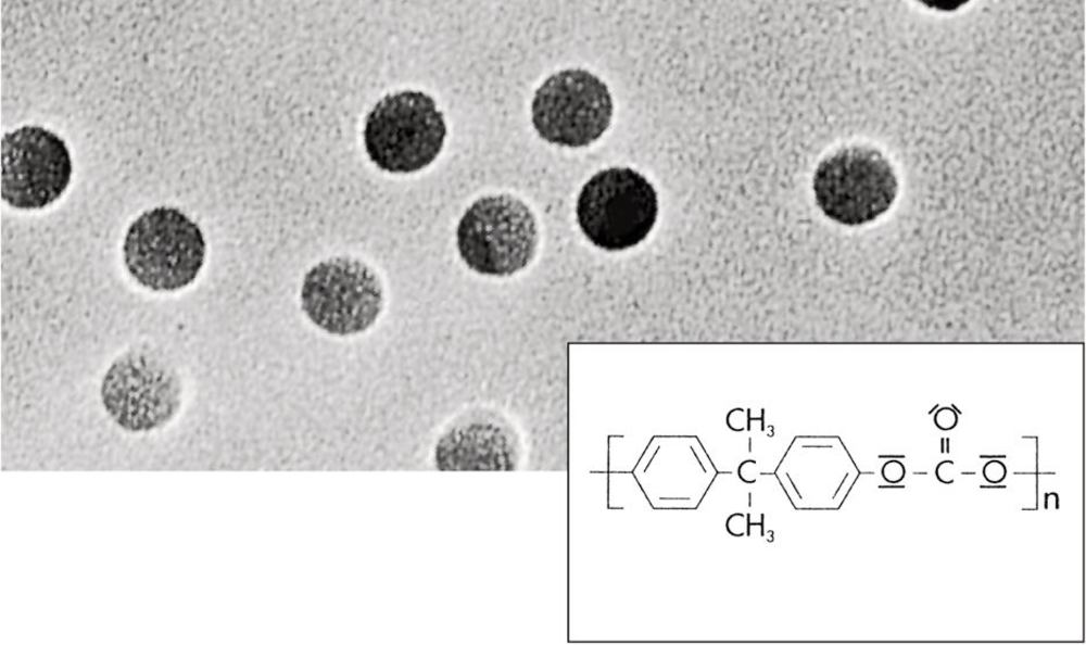 PC membrane filters, 0.4 µm, 25 mm, 100 unit(s) - Luminix Health