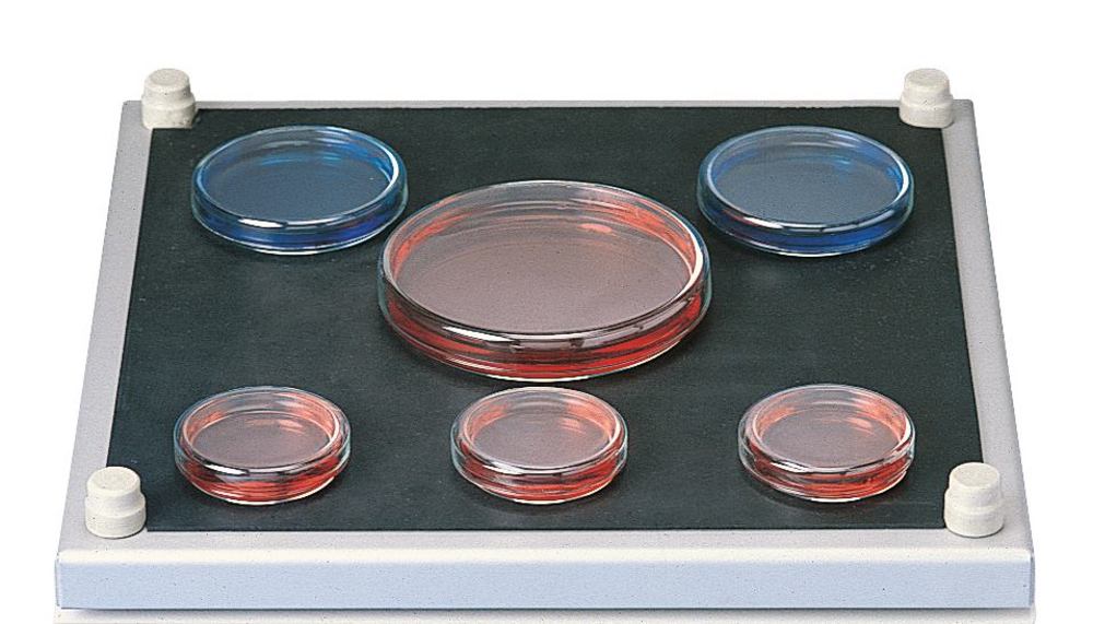 Slip-proof support , L 330 x W 330 mm, 1 unit(s) - Luminix Health