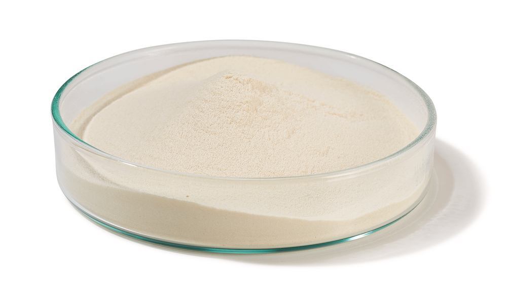 Image of MR/VP Medium