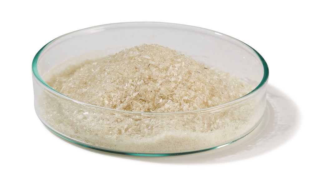 Image of Bovine Serum Albumin (BSA) Fraction V